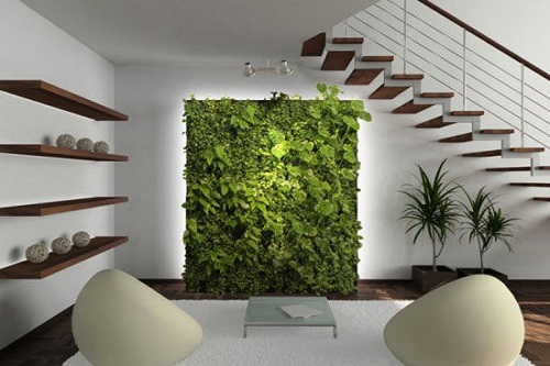 Một số mẫu vườn tường đứng 