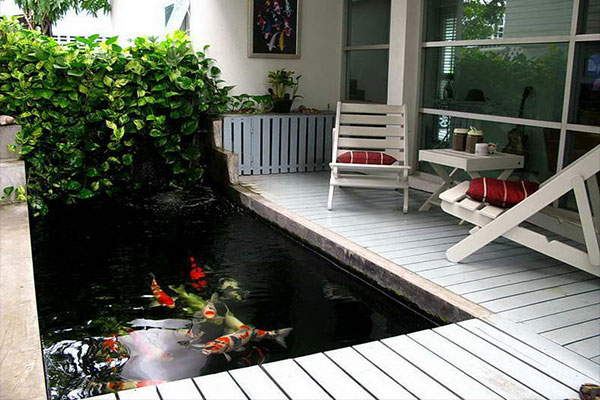 Thiết kế hồ cá koi