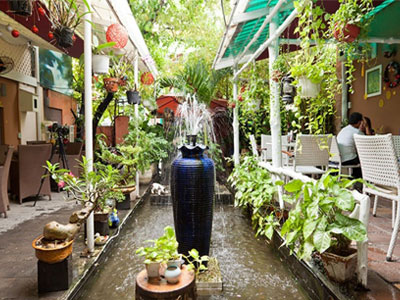 Thi c&ocirc;ng tiểu cảnh qu&aacute;n cafe