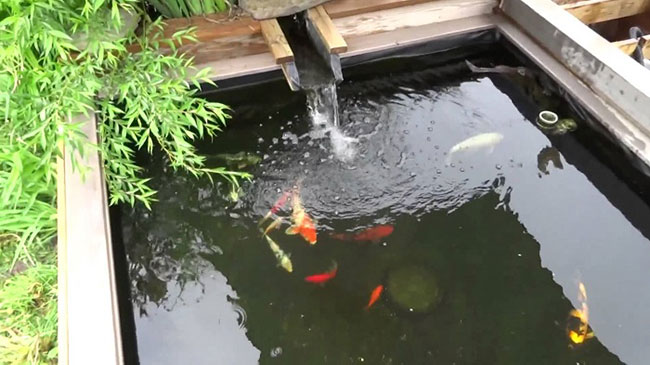 Hệ thống lọc hồ c&aacute; kiểu đơn giản