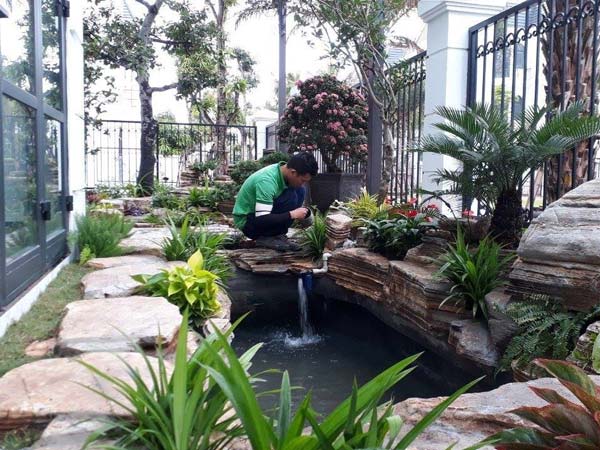 Mẫu thiết kế hồ cá Koi trong không gian hẹp Mẫu thiết kế hồ cá Koi trong không gian hẹp