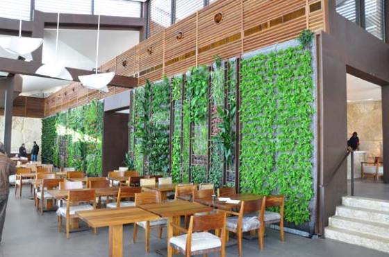 Cửa h&agrave;ng ấn tượng với vườn tường đứng