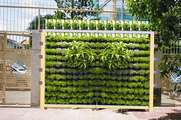 mẫu vườn rau đứng đẹp