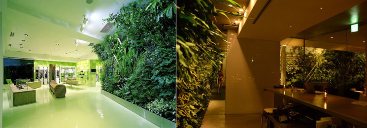 Vườn tường đứng cho kh&ocirc;ng gian Spa thư gi&atilde;n