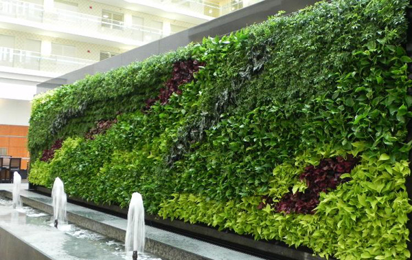 vườn tường đứng ngo&agrave;i trời kết hợp với tiểu cảnh nước