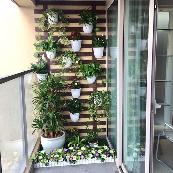 Tường c&acirc;y đứng ban c&ocirc;ng