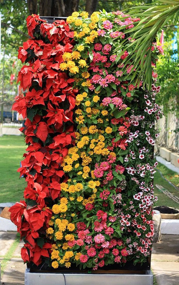 Tường hoa đứng